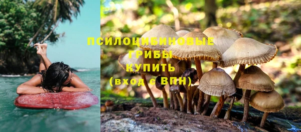 стафф Нефтегорск
