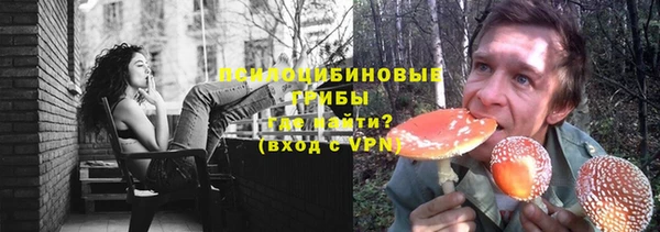 стафф Нефтегорск
