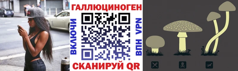 Псилоцибиновые грибы Psilocybe  ОМГ ОМГ онион  Кстово 