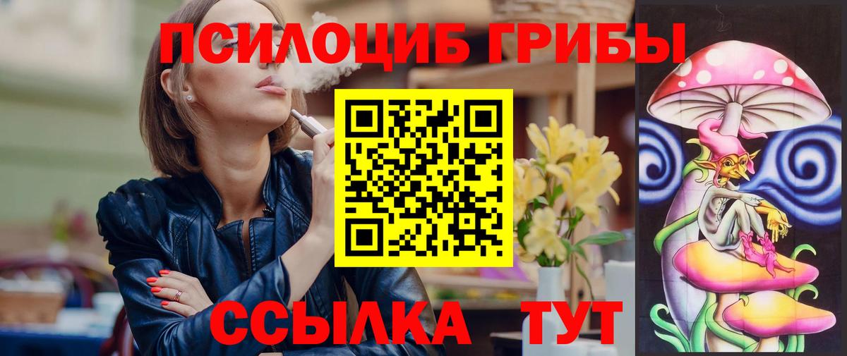 Псилоцибиновые грибы Psilocybe  Вход с VPN  Кстово 
